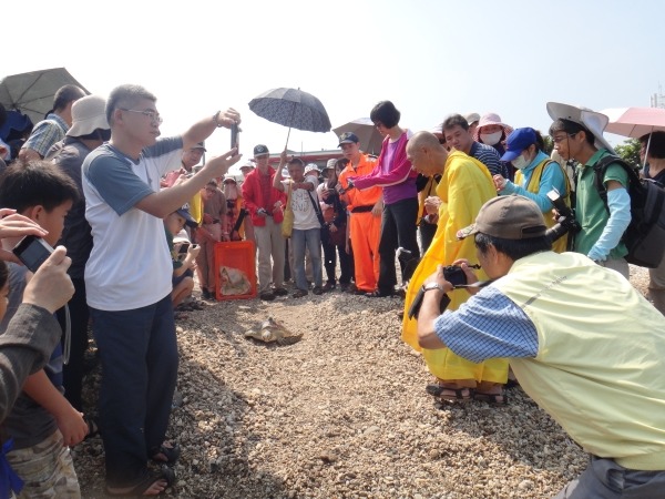 5月31日進行的綠蠵龜野放活動，由福智基金會連同海巡署、海生館先辦理了淨灘和祈福儀式，再送海龜重回大海。   海生館/提供