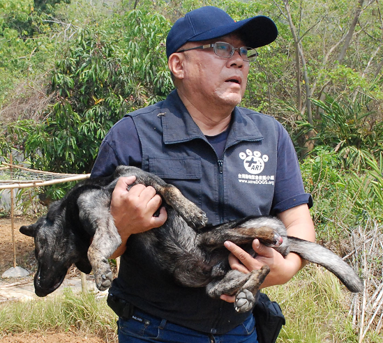 缺乏嚴謹的訓練機制，台灣的動物救援依賴經驗累積。  台灣動物緊急救援小組/提供