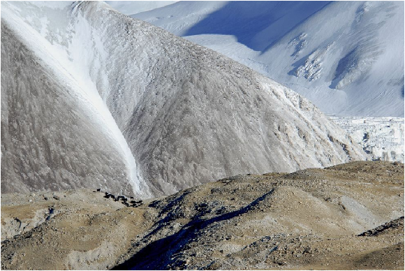 犛牛聚集在毗鄰青藏高原的陡峭岩壁，這個岩壁是冰川退縮後形成的。  取自網路