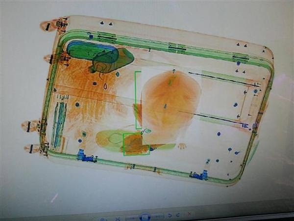 桃園機場的行李X光检查畫面，顯示行李箱中確實有不明物，還可看到貓咪的腳趾。  取自網路
