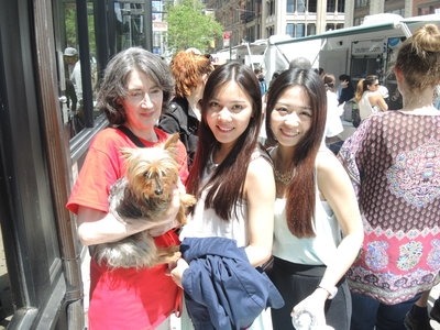 紐約市的「Maddie's 認養日」活動，有不少華人參與。  取自網路