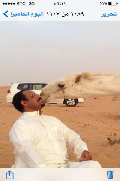 沙烏地阿拉伯民眾高喊：「駱駝駱駝我愛你！」