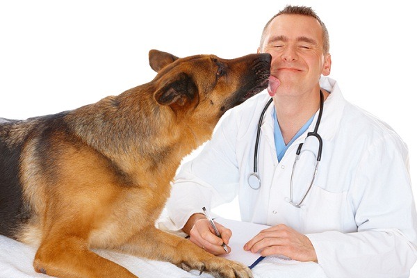 維也納獸醫醫學大學把最先進的免疫學癌症診斷技術，運用於狗狗身上。   取自網路