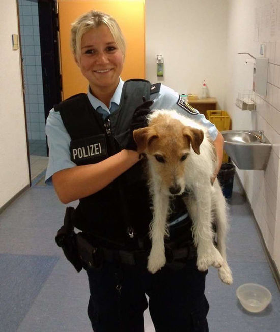 警察解救誤闖鐵軌的狗狗。　取自網路