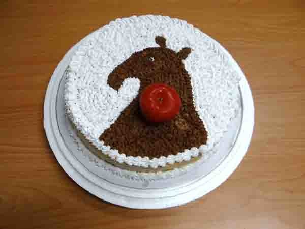 動物園員工親手做的滿月蛋糕，或許今早在現場的民眾有機會一起分享貘樹滿月的喜悅！　台北動物園/提供