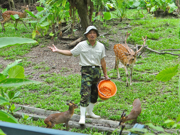 一起來聽聽保育員說說動物的「家務事」喔！　台北動物園/提供