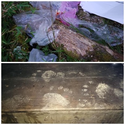 (上) 山澗裡的塑膠垃圾、旁邊枯枝上有黑熊嘔吐物、(下) 向陽山屋廚房內木檯上的黑熊足印。　台東林管處/提供