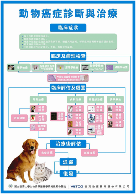 臺灣動藥公司與臺大動物醫院合作推出的動物癌症診斷與治療海報。　取自網路