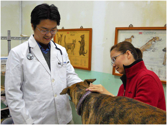 台北市獸醫師公會擬修改收費標準。　台北市動保處/提供