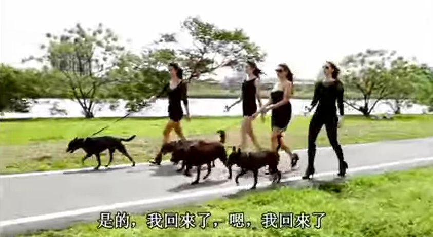 辣妹牽著黑狗，看起來是不是相當時尚呢！　翻攝自影片