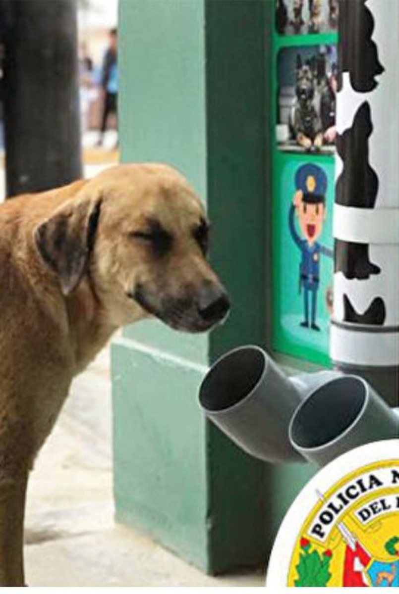 秘魯南部塔克納（Tacana）警方為了讓當地的流浪貓狗能飲用乾淨的糧食及食水，因此在市內的警局外設置糧筒，好讓浪浪們隨時能大快朵頤，而旁邊更放上水筒，十分貼心！（影片截圖）