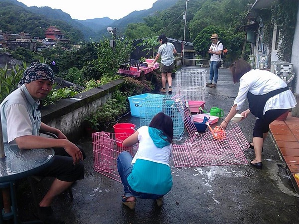 台灣319愛貓協會到猴硐協助清潔。　簡佩玲/提供