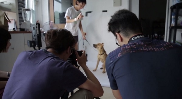 製作立牌前，要先幫狗狗拍各種姿式的照片。　取自Home For Hope