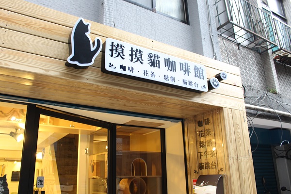 MOMOCAT的首間展示店「摸摸貓咖啡館」將於7月中旬開幕。　江幸芸/攝