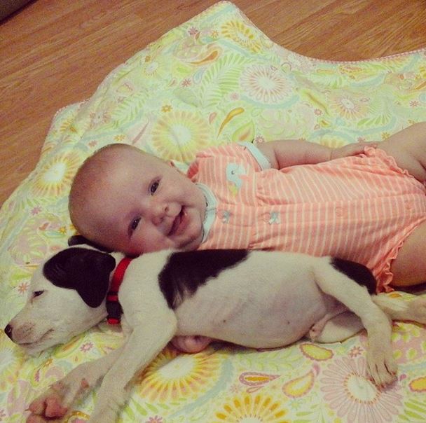 艾斯蕾比狗狗克萊德早兩周出生，他們總是黏在一起。 取自Instagram（brandileigh080）