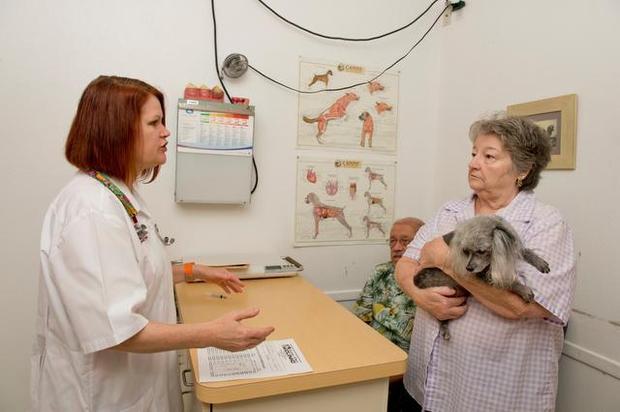 寵物保險讓寵物生病時的治療能有更多的選擇。　取自網路