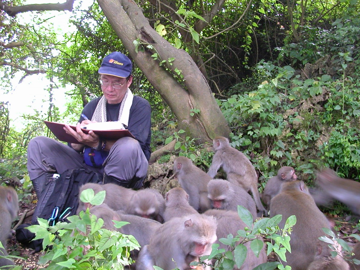 林金福長年與壽山上的台灣獼猴接觸，關係融洽。 /取自林金福部落格