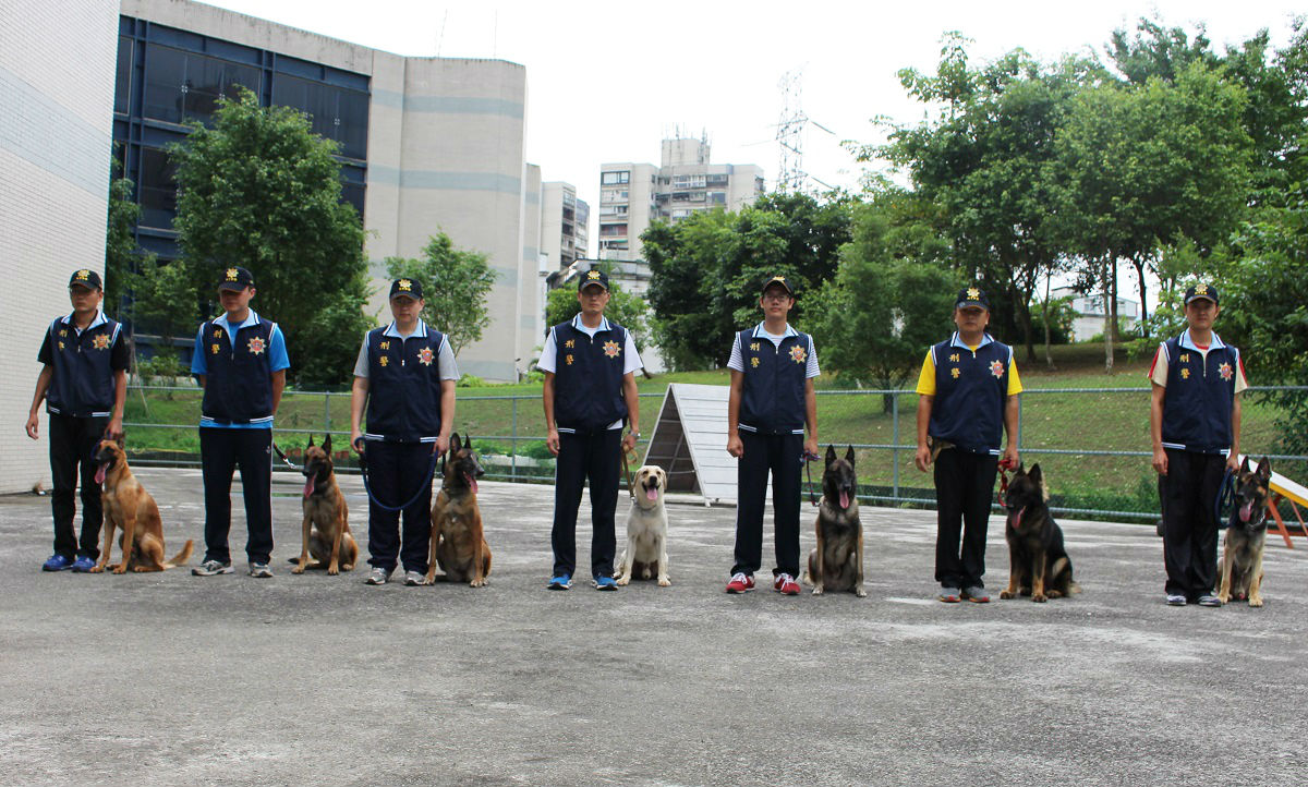 新北市政府警察局警犬隊是今年新成立的警犬隊，希望能讓台灣更重視警犬運用。　李娉婷/攝